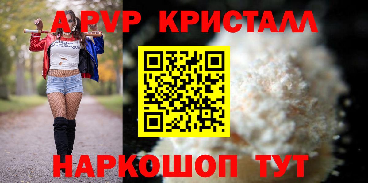 Альфа ПВП СК Шелехов