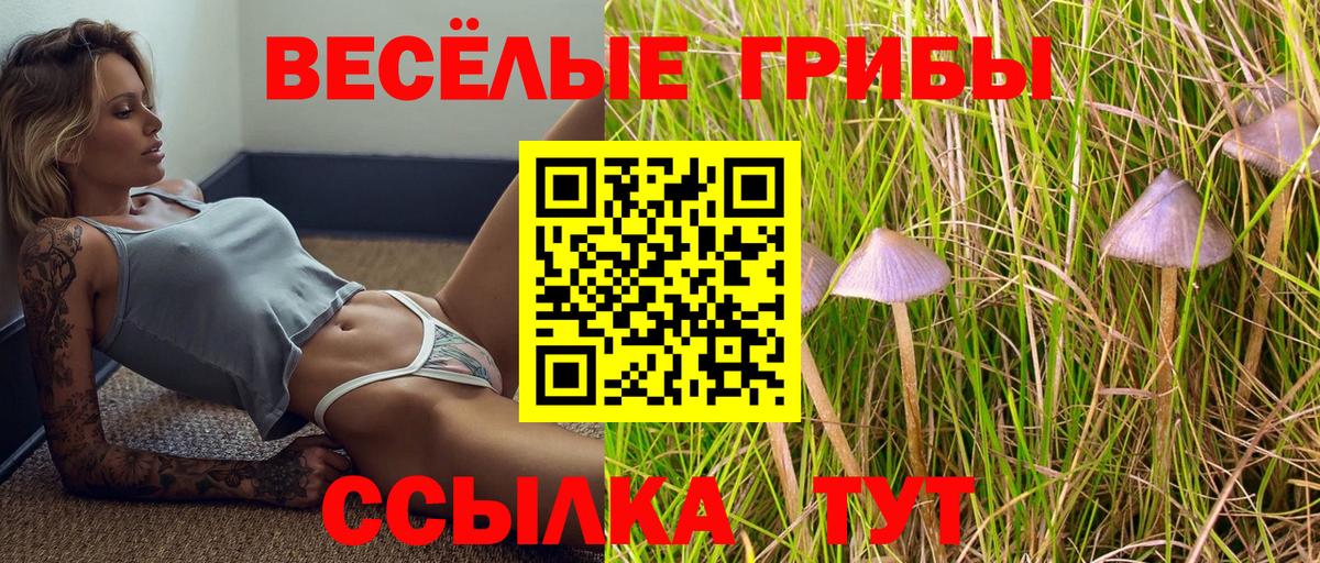 Шелехов  Галлюциногенные грибы MAGIC MUSHROOMS  Вход с VPN 