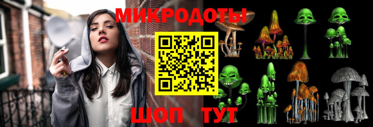 Псилоцибиновые грибы Psilocybe Шелехов